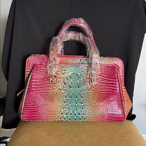 NWOT Multicolor Crocodile Embossed Women's Bag